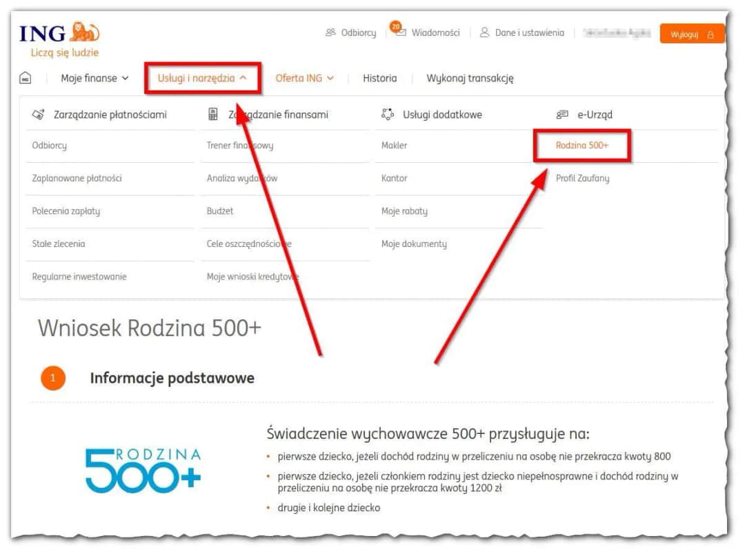 800 plus 2025: Gdzie i jak złożyć wniosek online? Pełny przewodnik