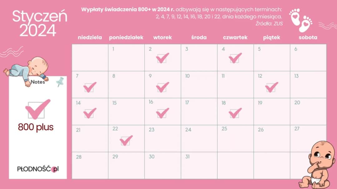 800 plus kiedy wypłata? Sprawdź daty i harmonogram ZUS!