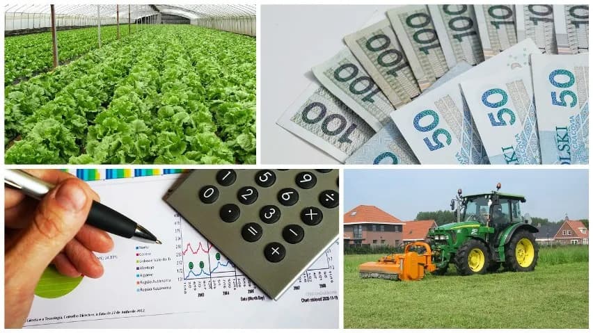 Ile można zarobić żeby nie wypaść z KRUS? Limity dochodów dla rolników