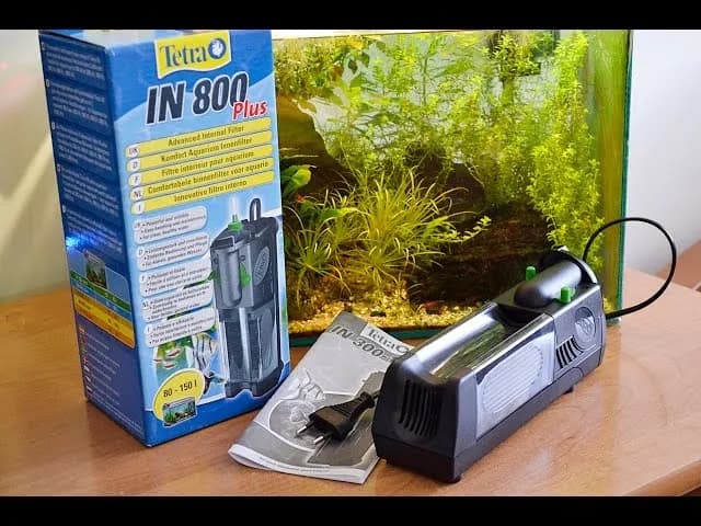 Tetra EX 800 Plus: Czy warto? Recenzja i jak uniknąć przecieków